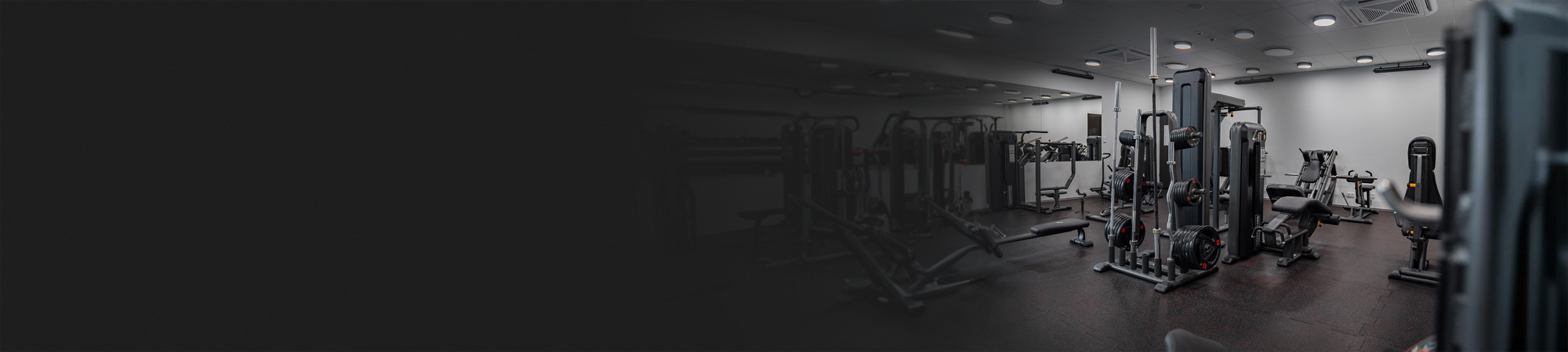 Premium Fitness Equipment