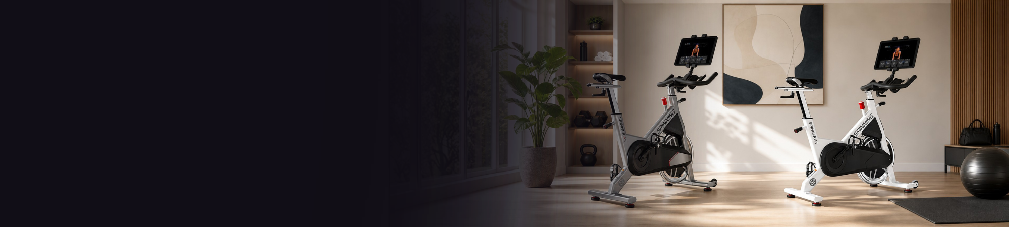spinning spinner a3 and a5 bikes in nice home gym