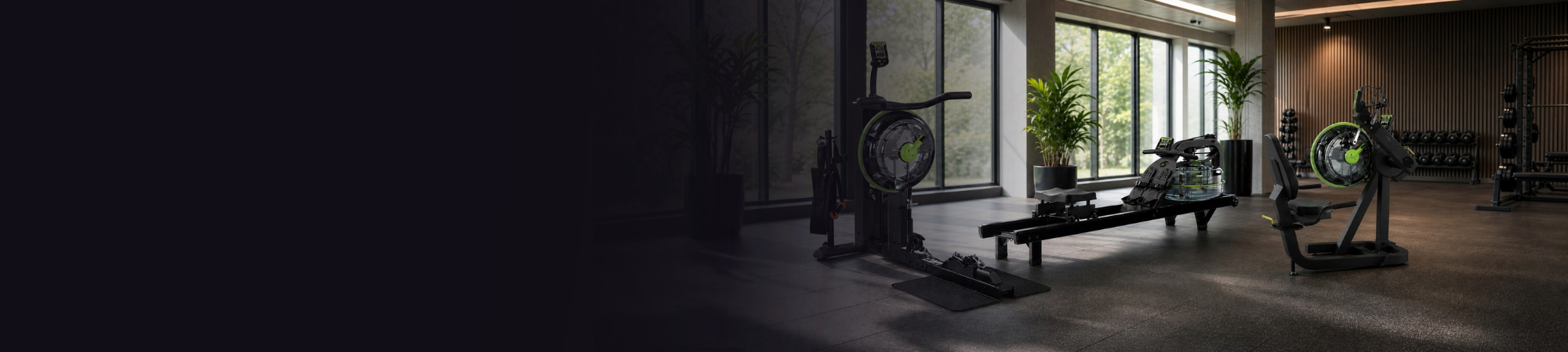 dynamic fitness equipment in commercial gym