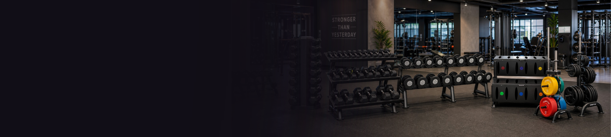 hampton fitness equipment in nice commercial gym