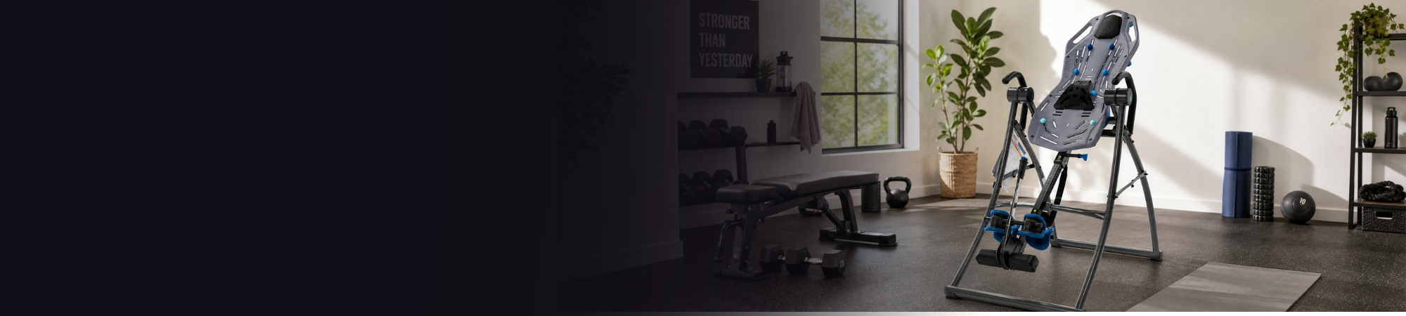 teeter hang up in nice home gym