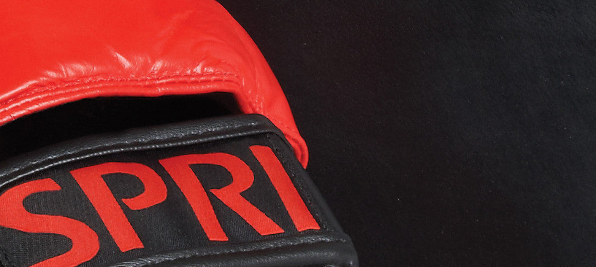 Punch Mitts