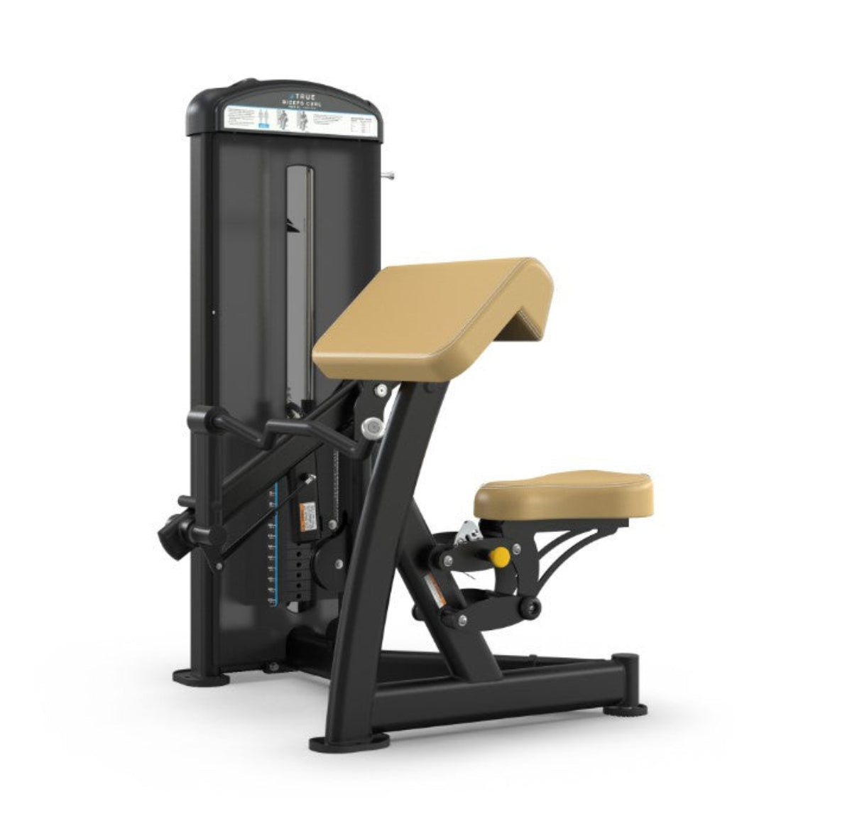 True Fitness Fuse-0600 Biceps Curl
