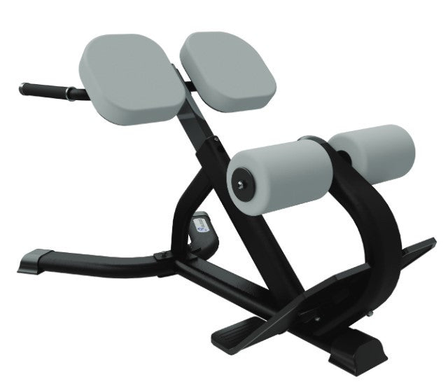 Nautilus Instinct 45 Degree Back Extension