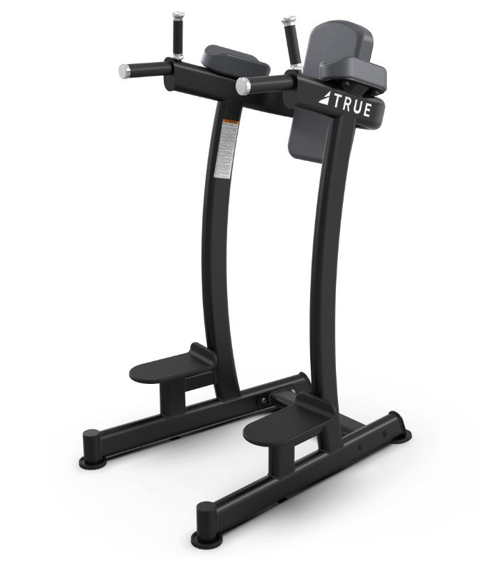 True Fitness XFW-6400 Vertical Knee Raise/Dip