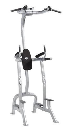 Hoist Fitness CF3962 Commercial Fitness Tree / Vertical Knee Raise - FITNESS OUTLET
