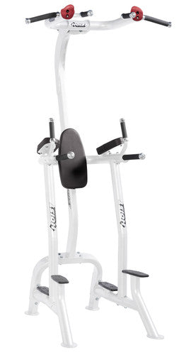 Hoist Fitness CF3962 Commercial Fitness Tree / Vertical Knee Raise - FITNESS OUTLET