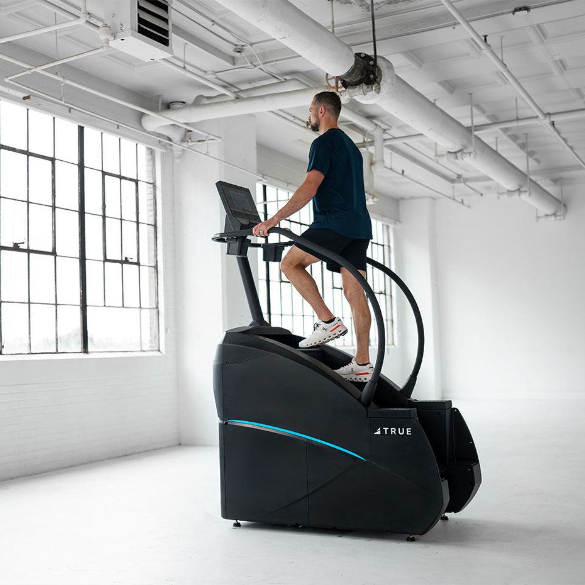 True Fitness Palisade Climber