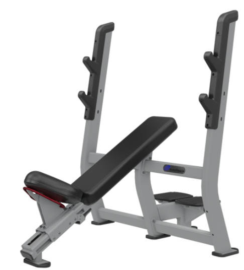 Nautilus Incline Bench Press