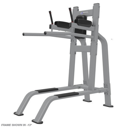 Nautilus Inspiration Leg Raise / Dip