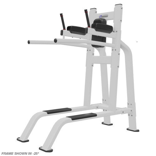 Nautilus Inspiration Leg Raise / Dip