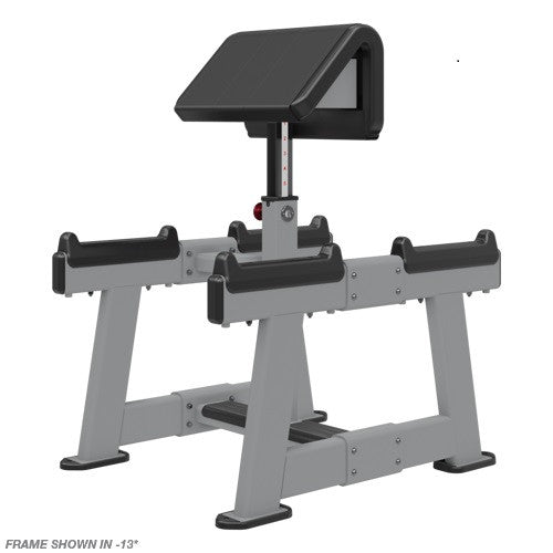 Nautilus Inspiration Standing Preacher Arm Curl