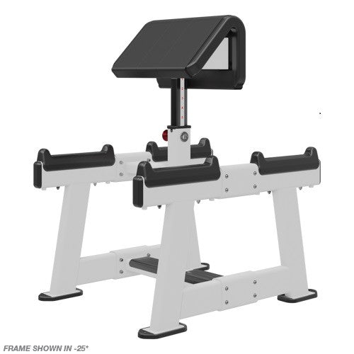 Nautilus Inspiration Standing Preacher Arm Curl