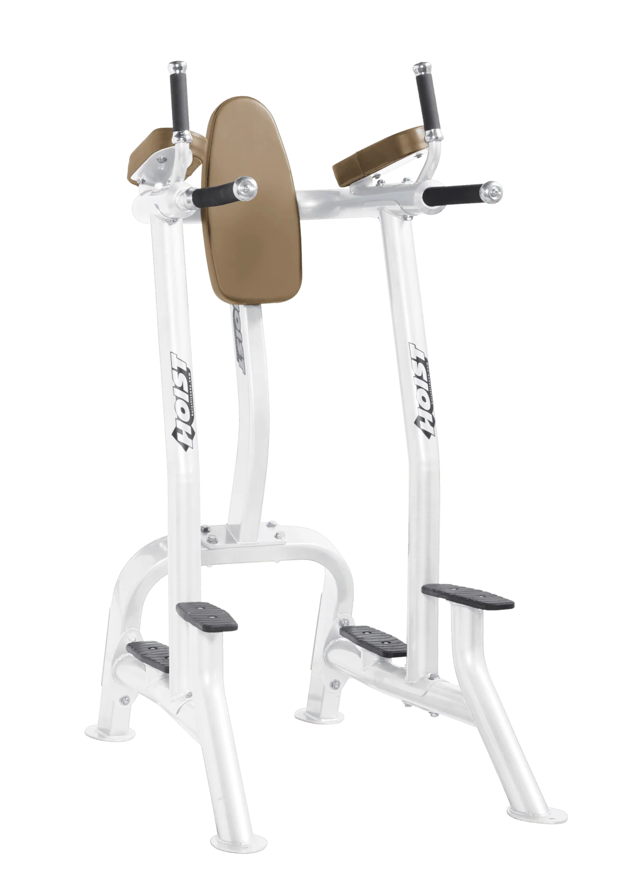 Hoist Fitness CF3252 Commercial Vertical Knee Raise Dip