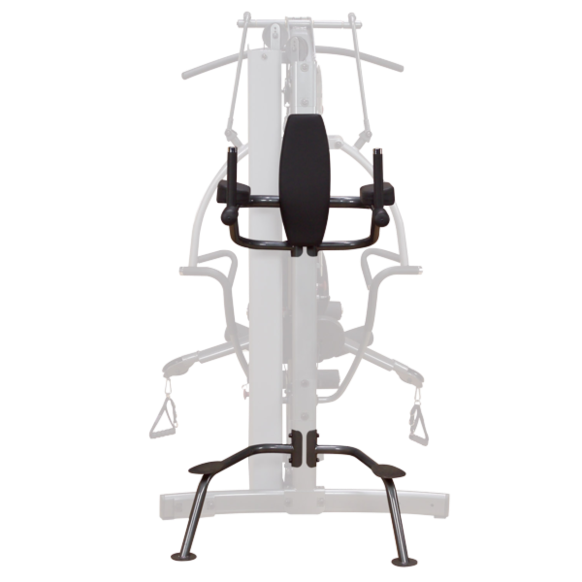 Optional FUSION Vertical Knee-Raise / Dip Station