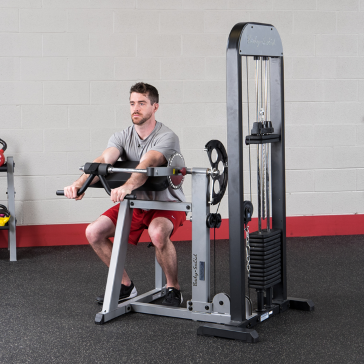Body-Solid PRO-Select Biceps & Triceps Machine