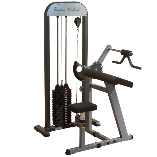 Body-Solid PRO-Select Biceps & Triceps Machine