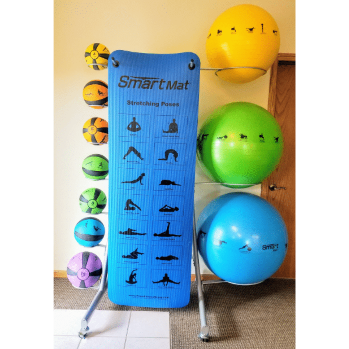 Prism Fitness Smart Elite Self-Guided Package