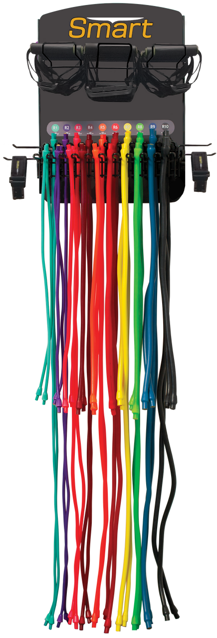 Prism Fitness Smart Resistance Wall Gym