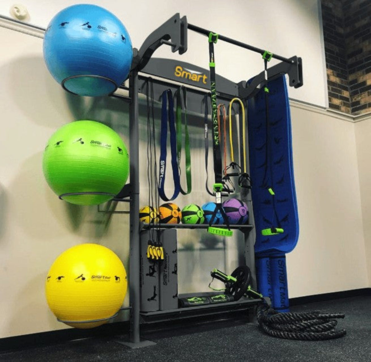 Prism Fitness Smart Functional Training Center - Wall Mount 1 Bay - Fitness Outlet