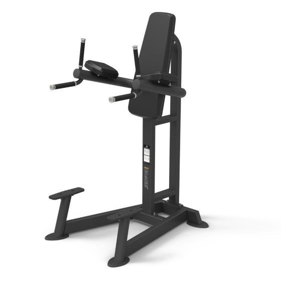 Spirit Fitness CSF-VKRD Vertical Leg Raise/Dip