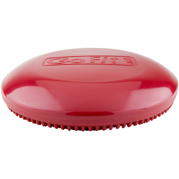 GoFit 13" Core Balance Disk with Training Manual