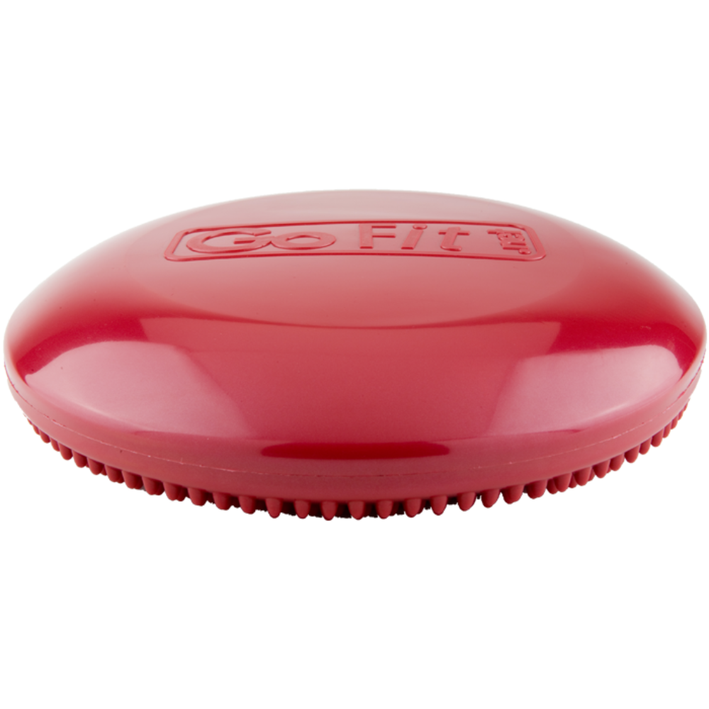 GoFit 13" Core Balance Disk with Training Manual