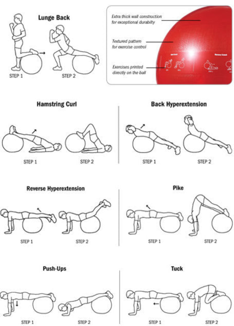 GoFit 2000lb Capacity ProBall- 65cm Stability Ball