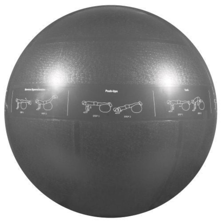 GoFit 2000lb Capacity ProBall- 75cm Stability Ball