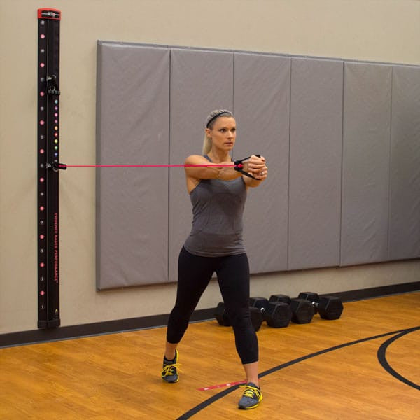 Prism Fitness Smart Resistance Wall Gym