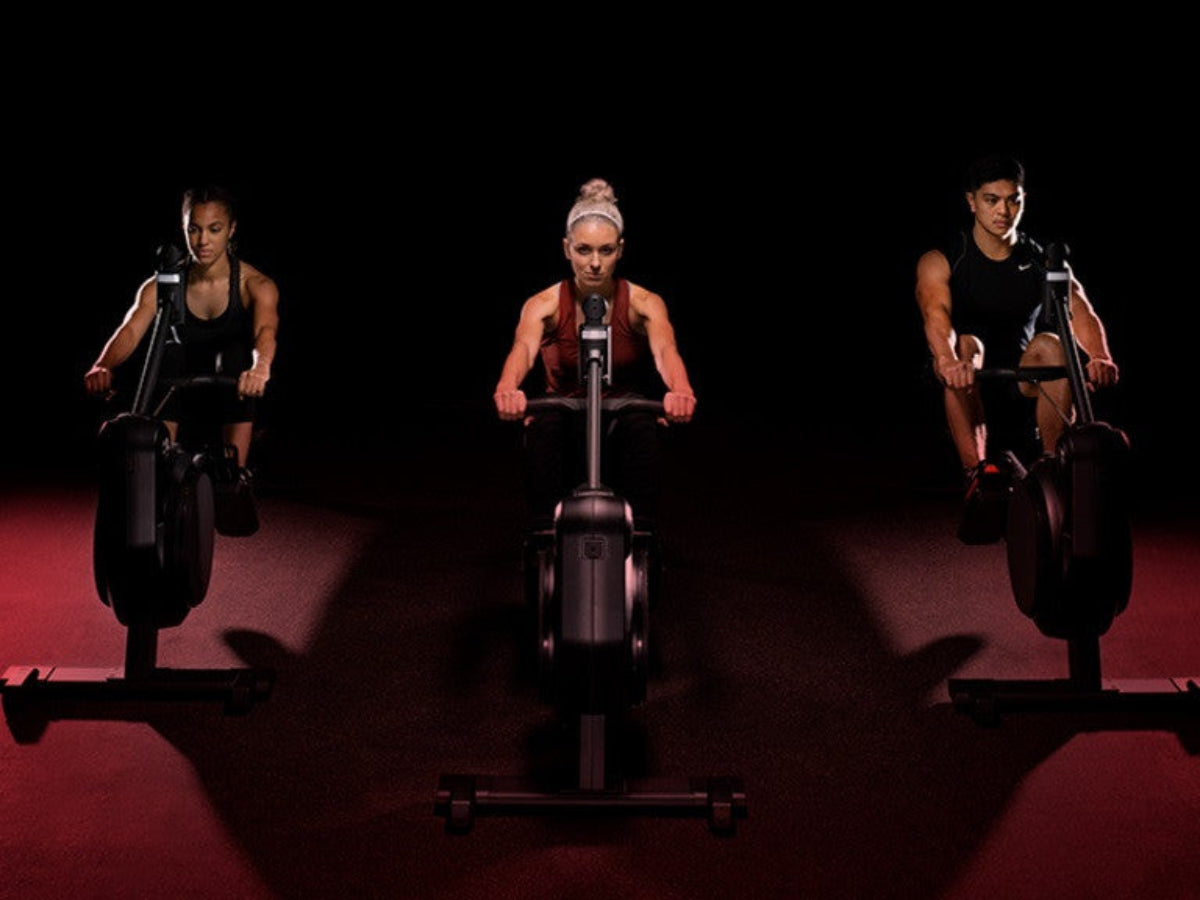 Life Fitness Heat Performance Row