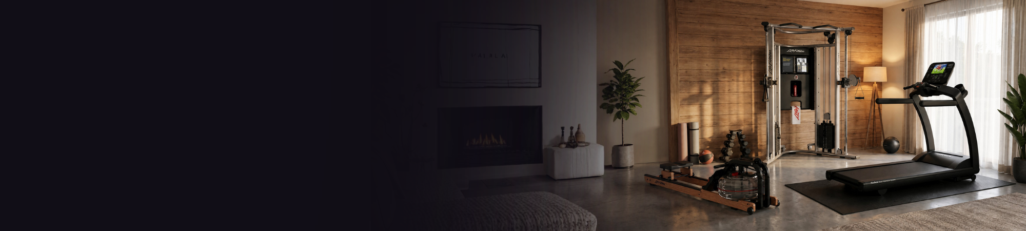 life fitness equipment in home gym