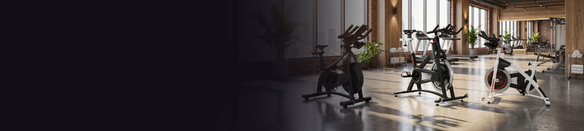 schwinn bikes in a nice commercial gym