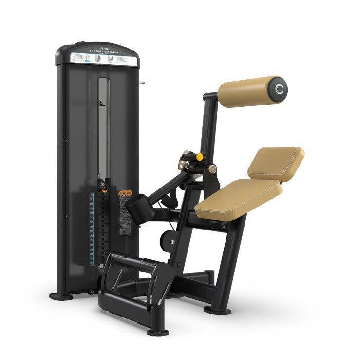 True Fitness Fuse-1300 Lower Back Extension Machine