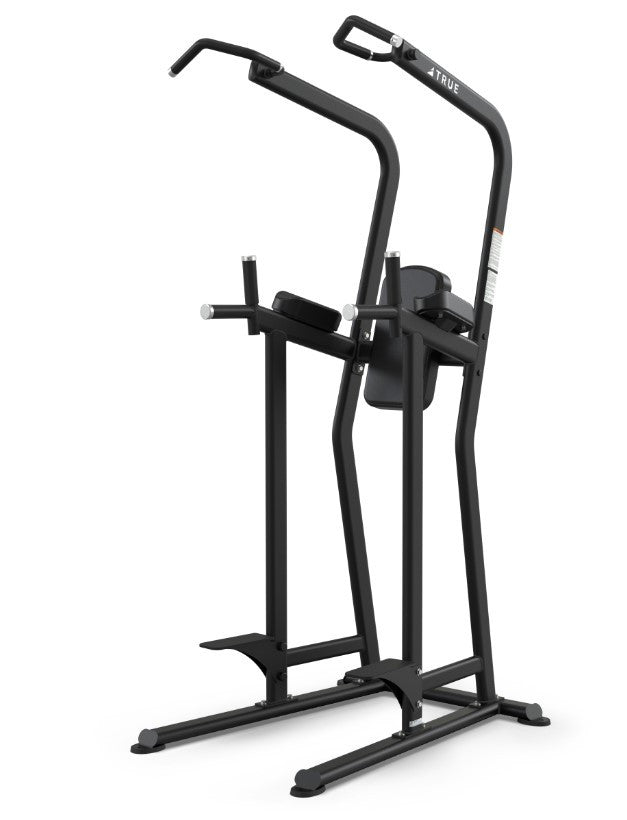 True Fitness Line Knee Raise / Dip / Chin Station