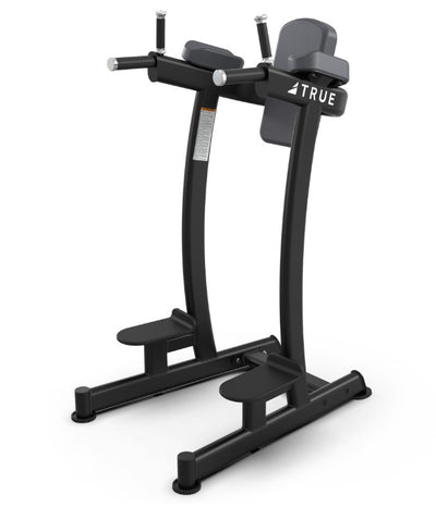 True Fitness XFW-6400 Vertical Knee Raise/Dip