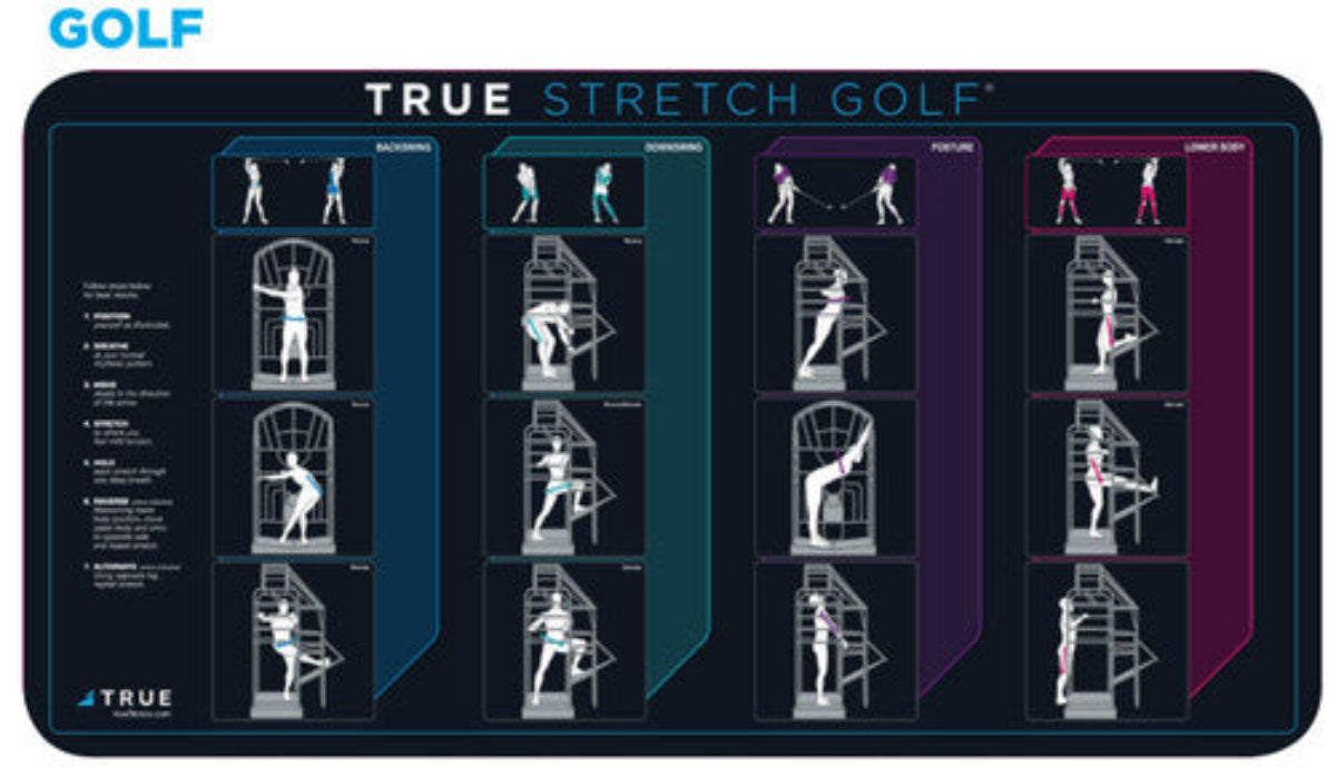 True Fitness Stretch - FITNESS OUTLET