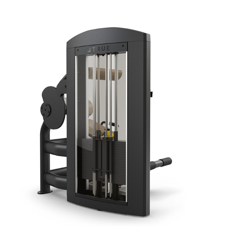 True Fitness Palladium Series SPL-1300 Low Back Extension - With Acrylic Shrouds