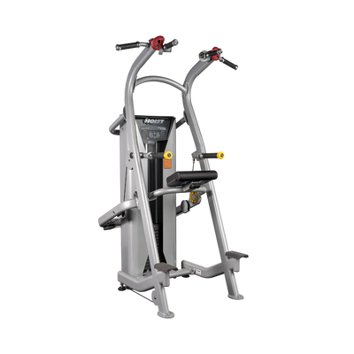 Hoist Fitness HD3700 Chin Dip Assist - Platinum 