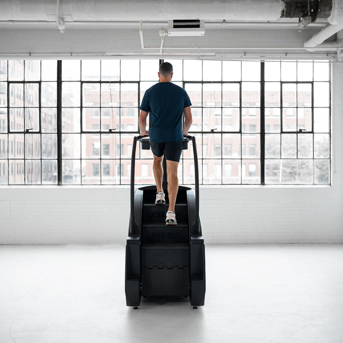 True Fitness Palisade Climber