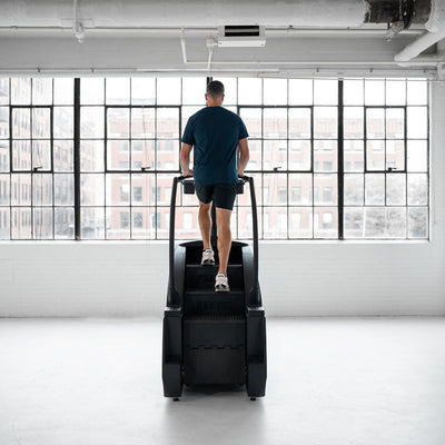 True Fitness Palisade Climber