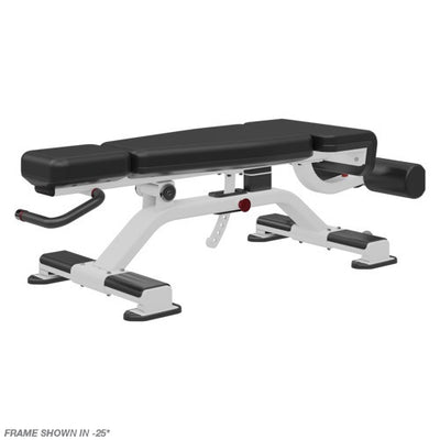 Nautilus Inspiration Adjustable Decline Bench