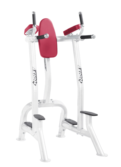 Hoist Fitness CF3252 Commercial Vertical Knee Raise Dip