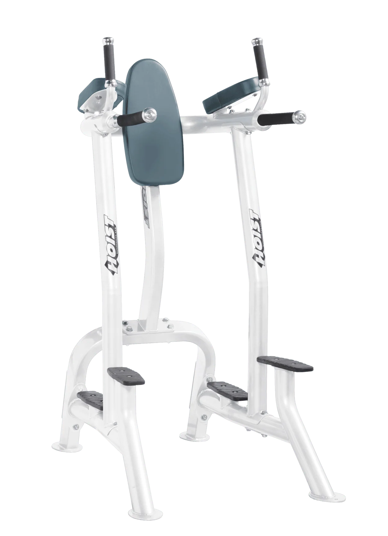 Hoist Fitness CF3252 Commercial Vertical Knee Raise Dip
