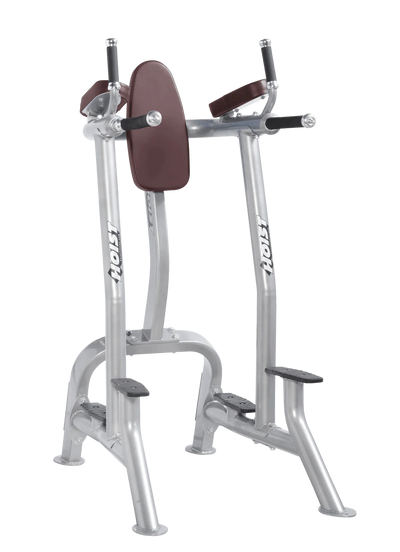 Hoist Fitness CF3252 Commercial Vertical Knee Raise Dip - Fitness Outlet 