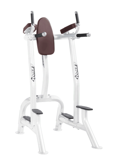Hoist Fitness CF3252 Commercial Vertical Knee Raise Dip