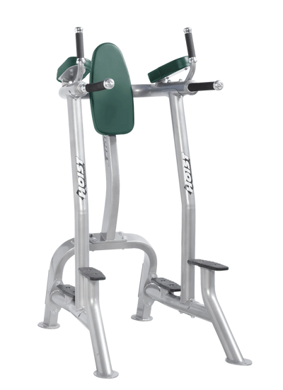 Hoist Fitness CF3252 Commercial Vertical Knee Raise Dip - Fitness Outlet 