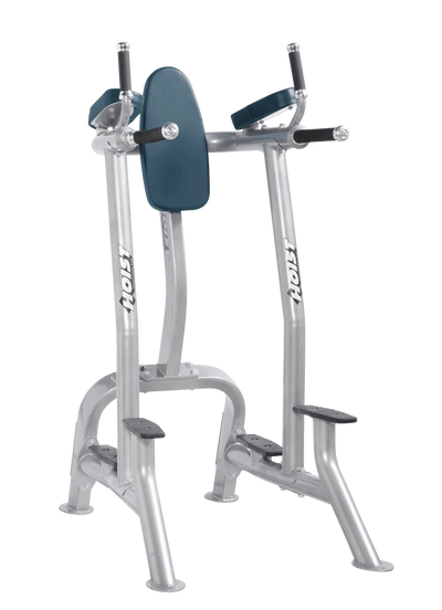 Hoist Fitness CF3252 Commercial Vertical Knee Raise Dip - Fitness Outlet 