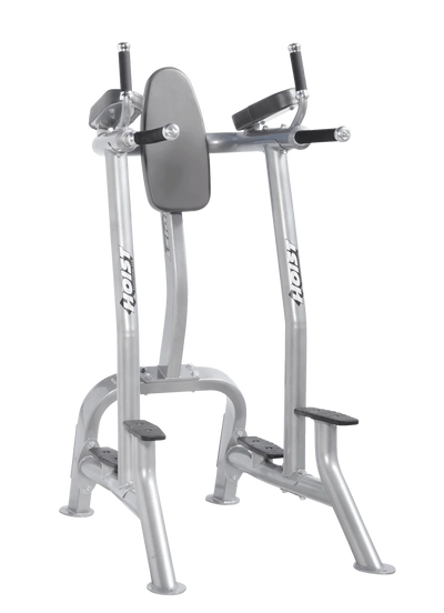 Hoist Fitness CF3252 Commercial Vertical Knee Raise Dip - Fitness Outlet 