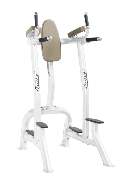 Hoist Fitness CF3252 Commercial Vertical Knee Raise Dip